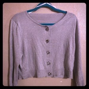 Calvin Klein metallic silver cropped sweater. XL
